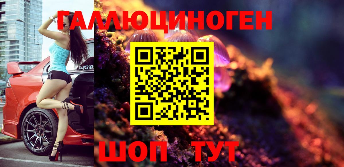 Новороссийск  Псилоцибиновые грибы мухоморы  Вход с VPN 